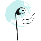 Proxecto